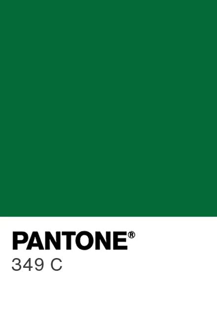 pms 349 c|PMS 349 C (Coated) .